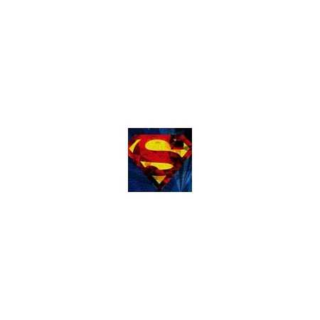 Παιδικό Χαλί Superman Logo Warner...