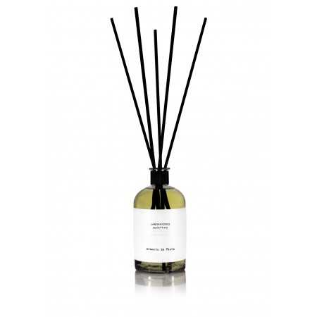 Αρωματικό Diffuser 1000ml Arancio in...