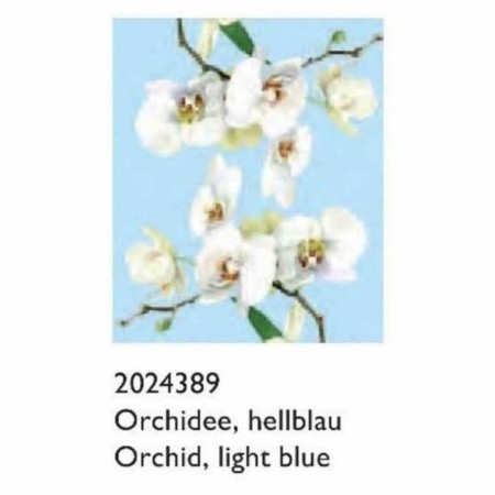 Πανάκι Μικροϊνών - Orchid Light Blue