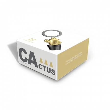 META[L]MORPHOSE - CACTUS... 2